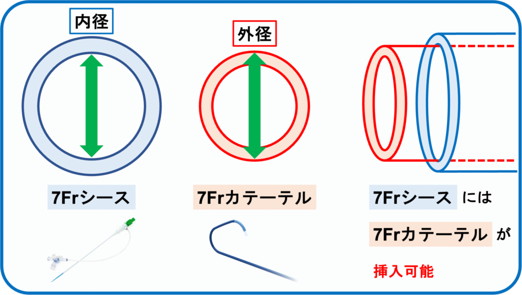 1Frって何mm?【徹底比較】